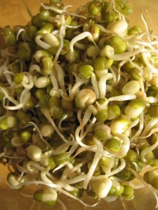 Mung bean sprouts