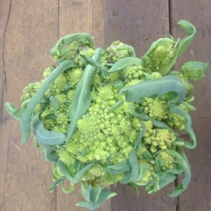 Romanesco cauliflower