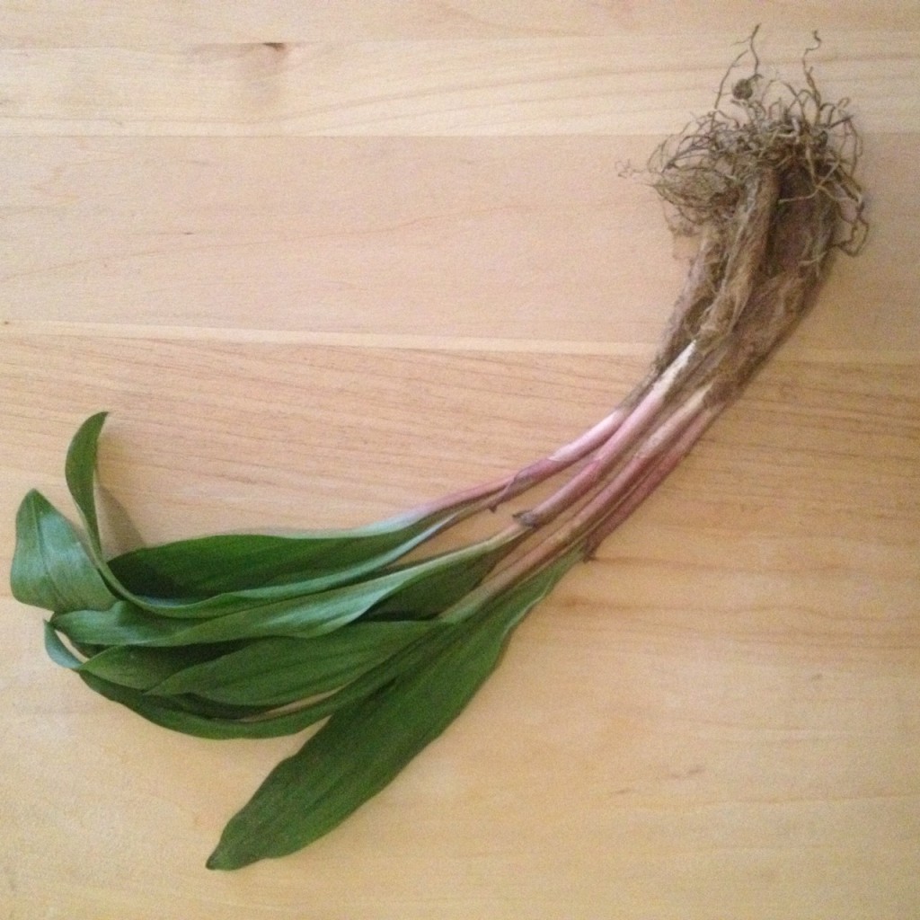 ramps