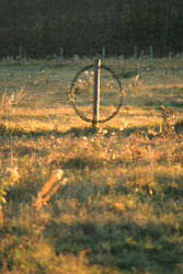 hoop in field